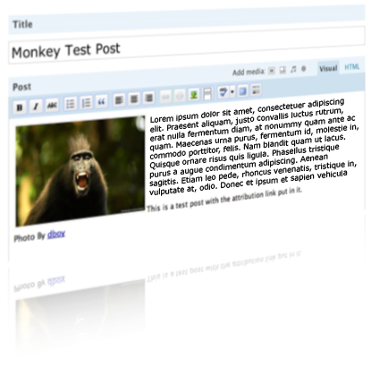 add images to your post and customize features